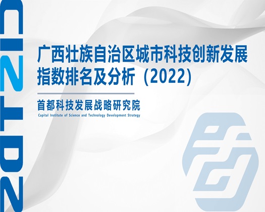 密乳av【成果发布】广西壮族自治区城市科技创新发展指数排名及分析（2022）